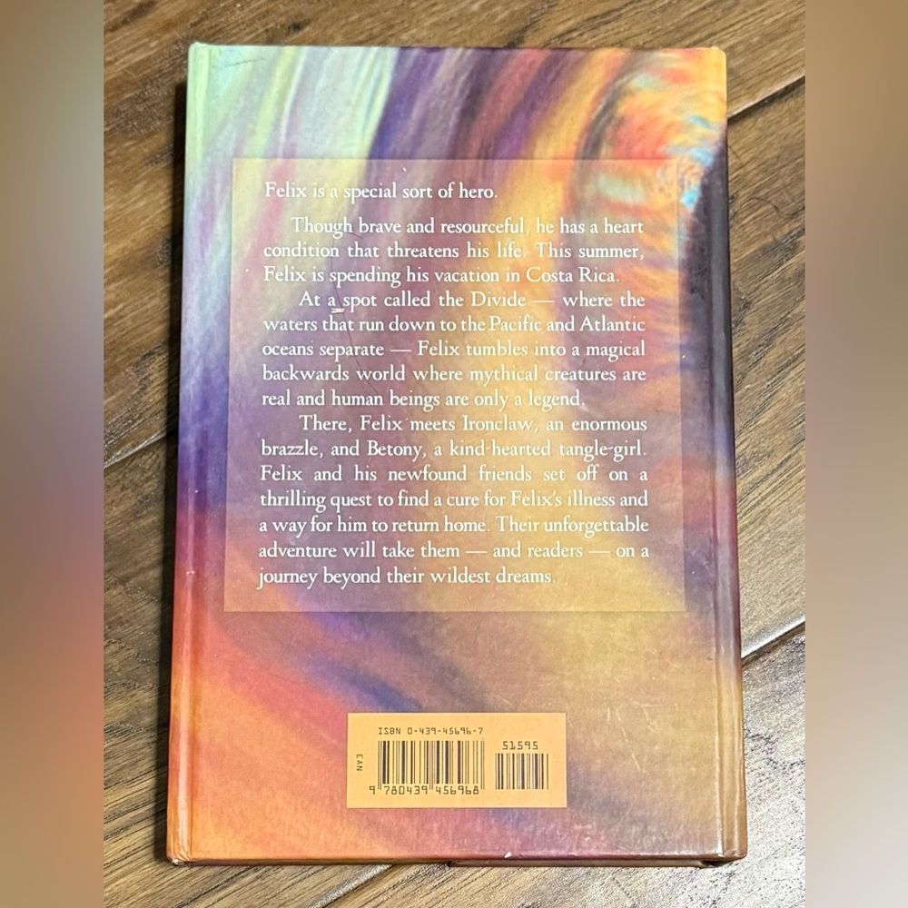 The Divide by Elizabeth Kay - Hardcover Book - Picture 4 of 4